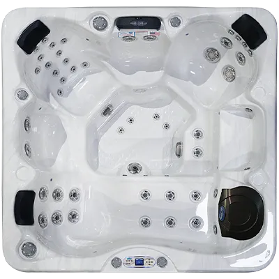 Avalon EC-849L hot tubs for sale in Candé
